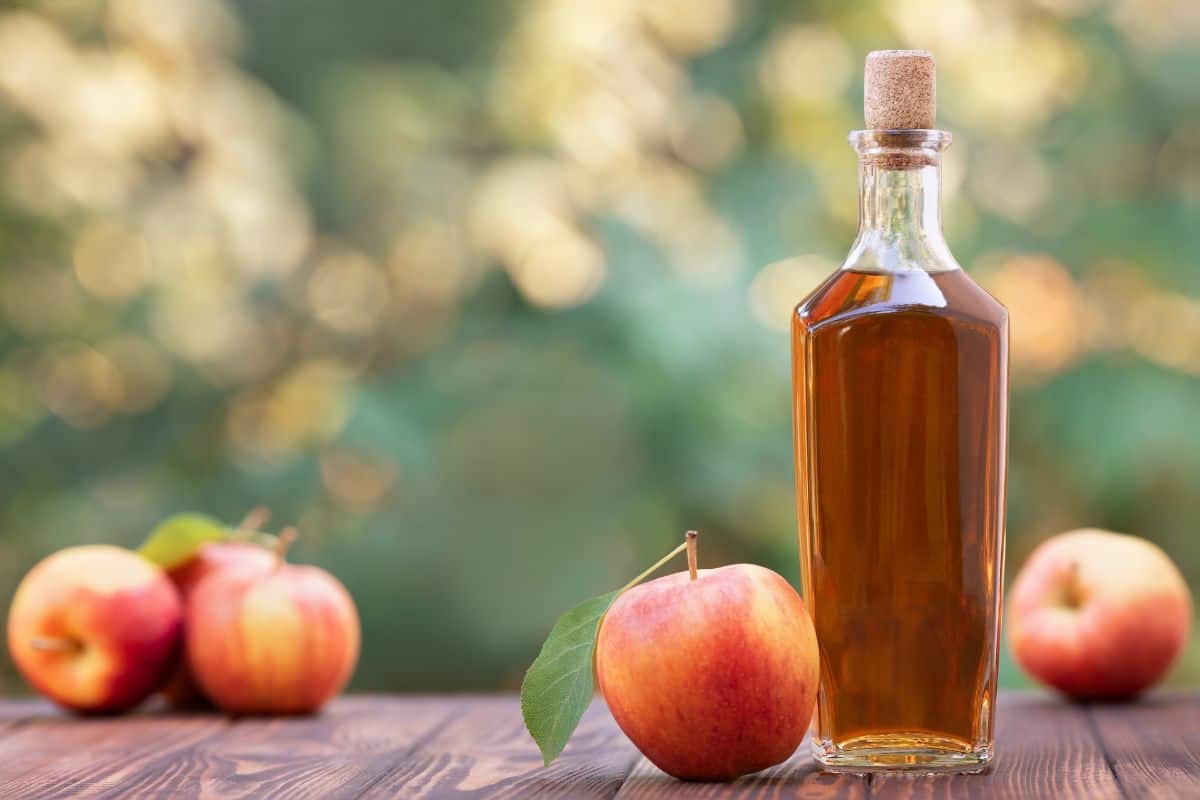 How To Make Apple Cider Vinegar Body Wash